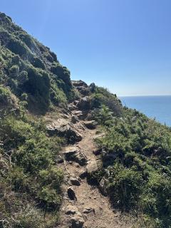 The path to Prawle Point is rough at times, and close the edge in some sections